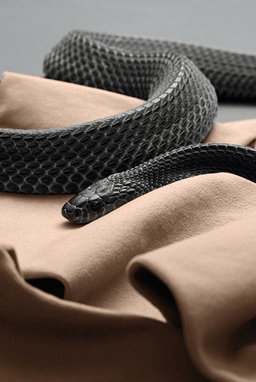 3. Lifestyle image Juzo Move Juzo Move with a black snake