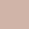 Colour Beige Colour box beige